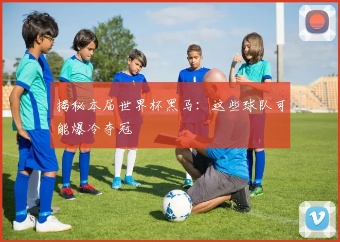 揭秘本届世界杯黑马：这些球队可能爆冷夺冠